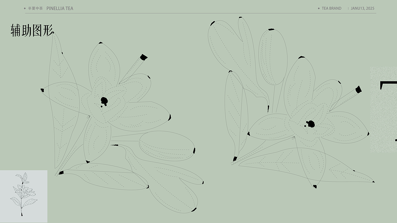 半夏中茶丨茶叶品牌设计（图ZMzg1OTE4ODEy） - 品牌 - 站酷设计师邮闲原创素材 - 站酷ZCOOL
