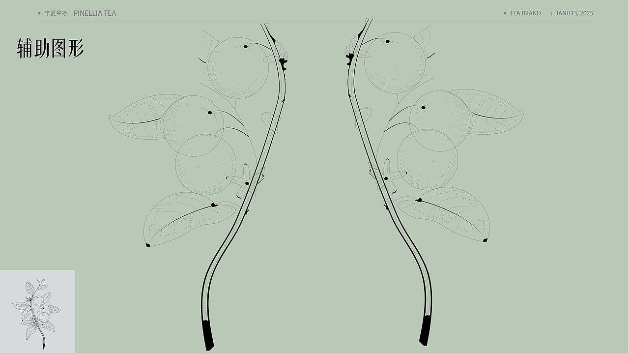 半夏中茶丨茶叶品牌设计（图ZMzg1OTE4ODA0） - 品牌 - 站酷设计师邮闲原创素材 - 站酷ZCOOL