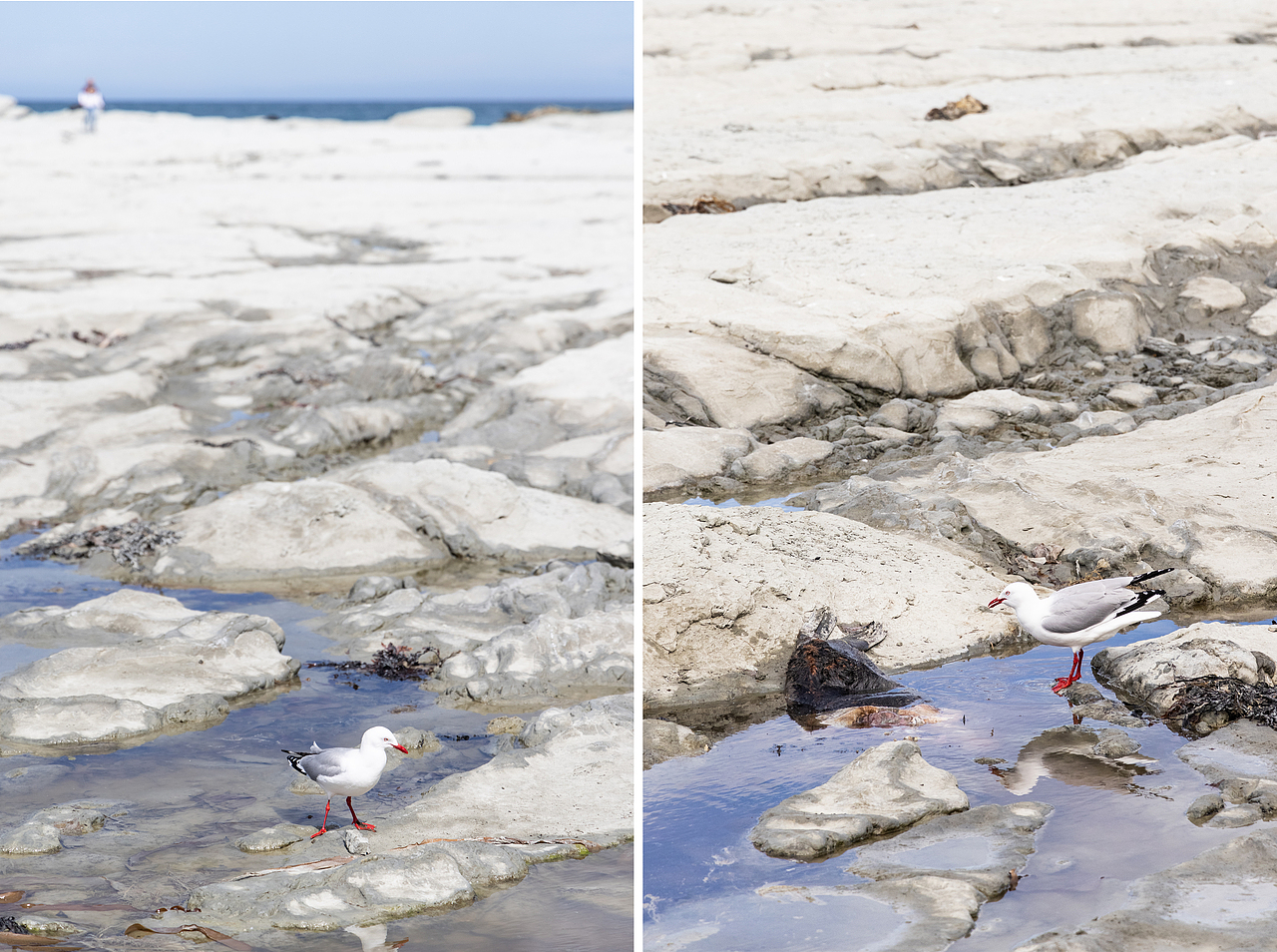 New Zealand 2024（图ZMzg1OTIyNDMy） - 风光摄影 - 站酷设计师亚细亚的迷雾原创素材 - 站酷ZCOOL