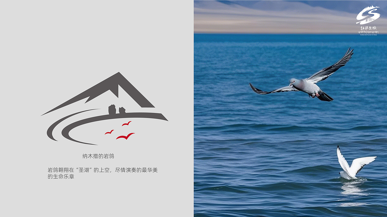 遇见▪天湖纳木措( Lake Namtso)品牌视觉设计
