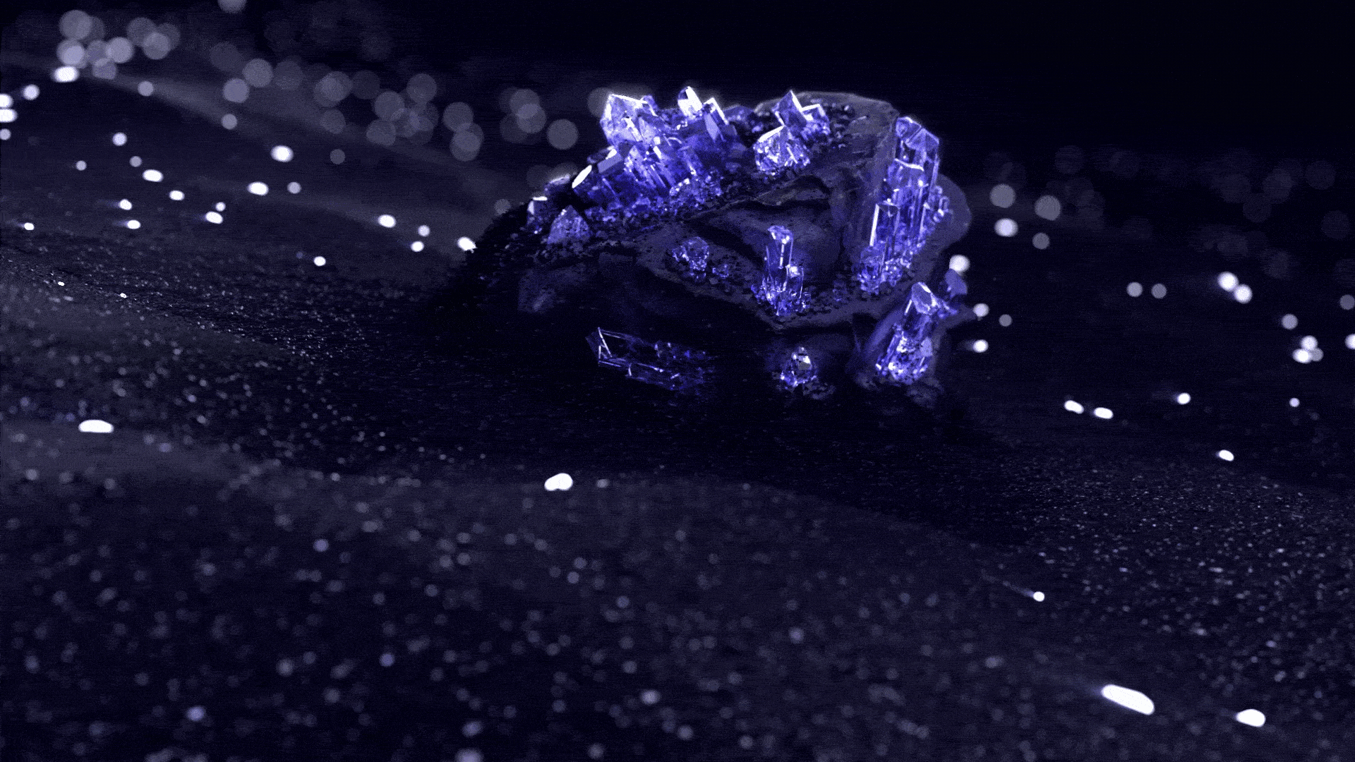 FFWS HYPERBOOK 藏品展示宣传视频