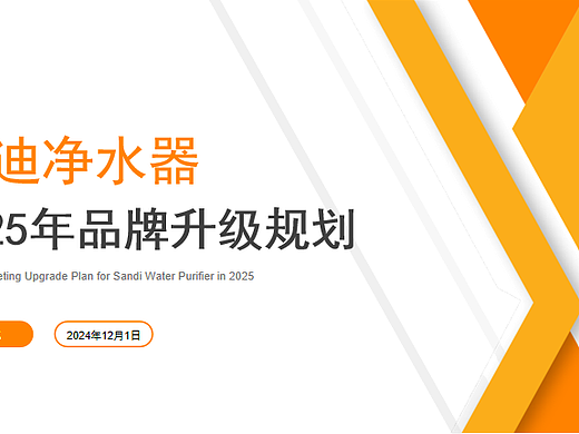 2025三迪净水器家电品牌升级规划方案-48P