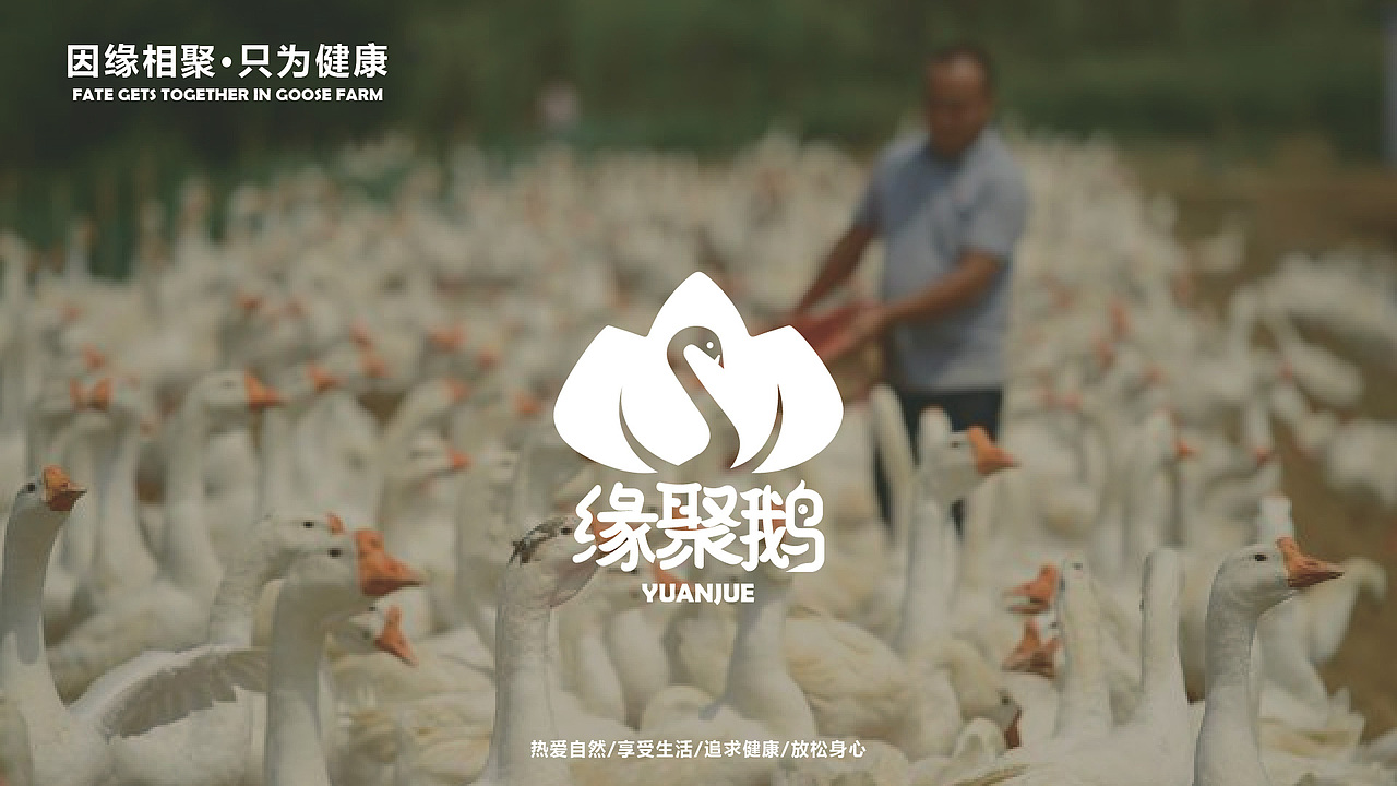 缘聚鹅鹅养殖场品牌设计（图ZMzg1OTg1Nzg0） - 品牌 - 站酷设计师sejam原创素材 - 站酷ZCOOL