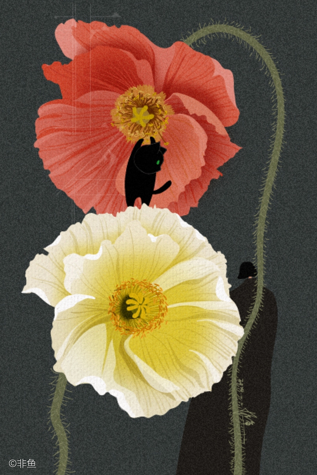 2024年的岁末(一)