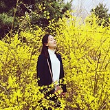 易安YA的头像