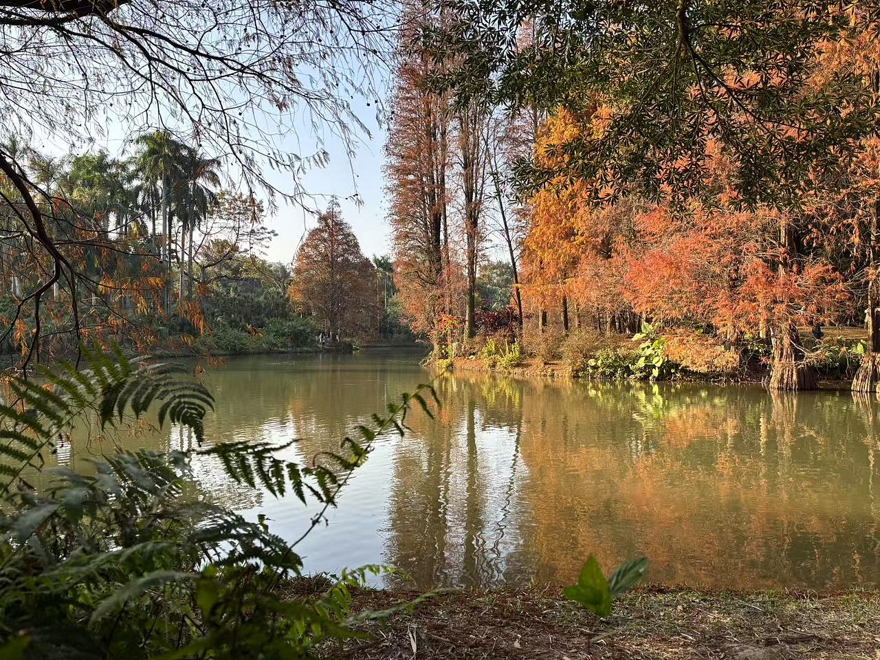 华南国家植物园