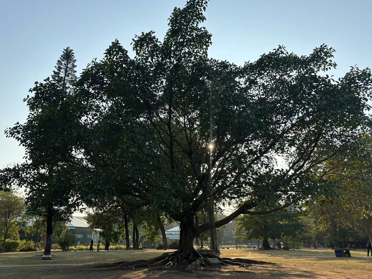 华南国家植物园