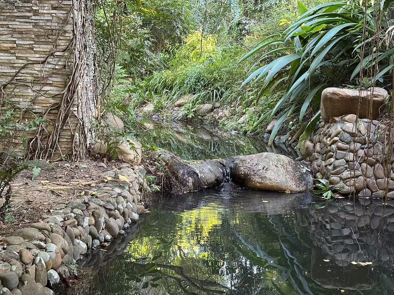 华南国家植物园