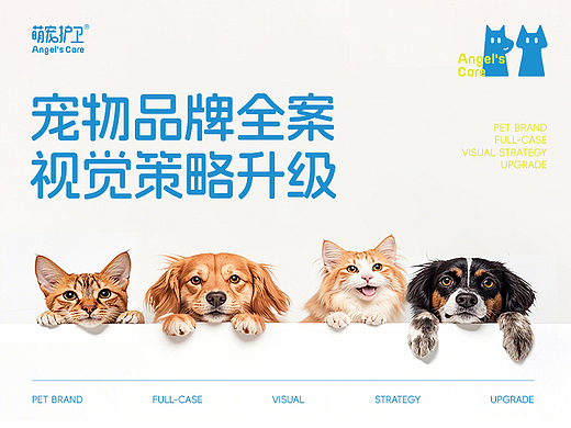 品牌全案 | 宠物消毒品牌策略及视觉设计