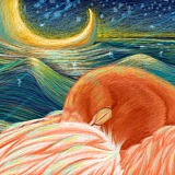 叮当DD的头像