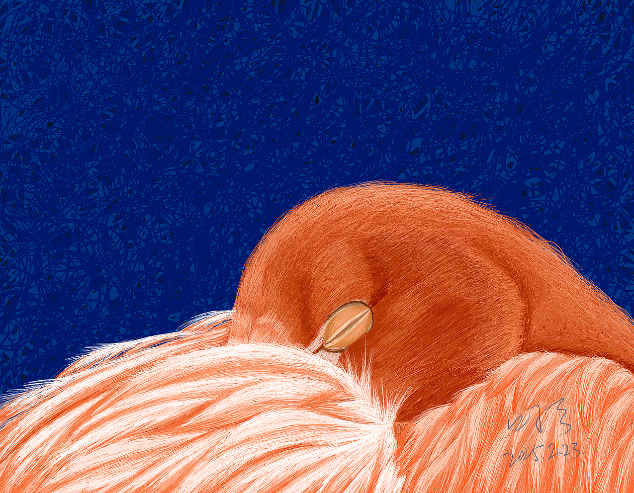 沉睡（图ZMzg2MDU3MzMy） - 商业插画 - 站酷设计师叮当DD原创素材 - 站酷ZCOOL