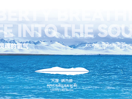 天湖纳木措标志设计