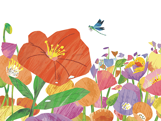 儿童科普类颜色认知绘本