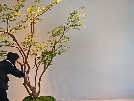 比泡面还快的仿真绿植景观