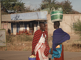 坦桑尼亚记事录2023