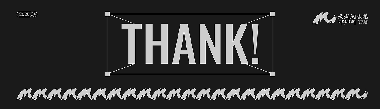 天湖纳木措 /品牌设计 / VI / LOGO /