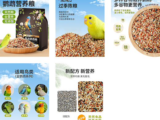 甄选鹦鹉粮主图750（个人主页-ZNzE0NTUzMDg=） - 电商 - 站酷设计师wj461558511原创素材 - 站酷ZCOOL