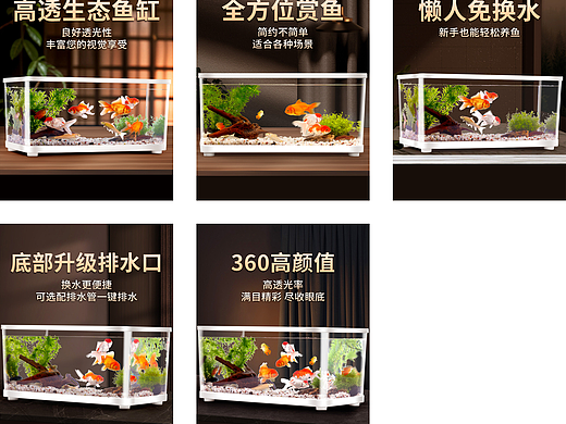 桌面鱼缸主图750（个人主页-ZNzE0NTUzODQ=） - 电商 - 站酷设计师wj461558511原创素材 - 站酷ZCOOL