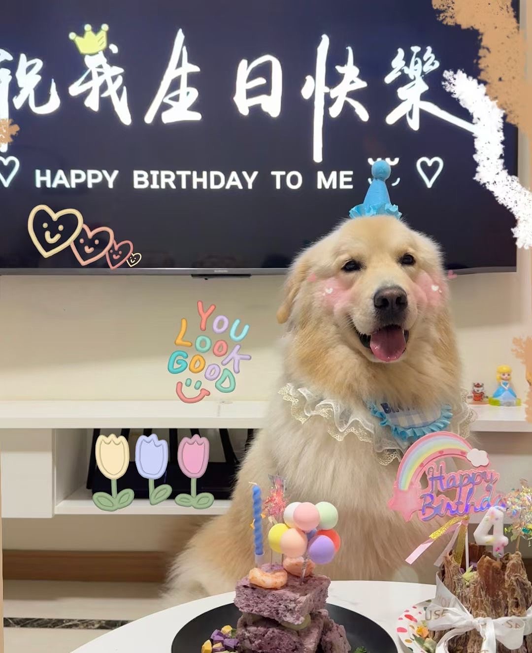 【汪汪专属生日贺图工坊-蛋糕与拆家名场面皆可定制】（图ZMzg2MTgyMjY0） - 艺术插画 - 站酷设计师VIVIDSTUDIO原创素材 - 站酷ZCOOL