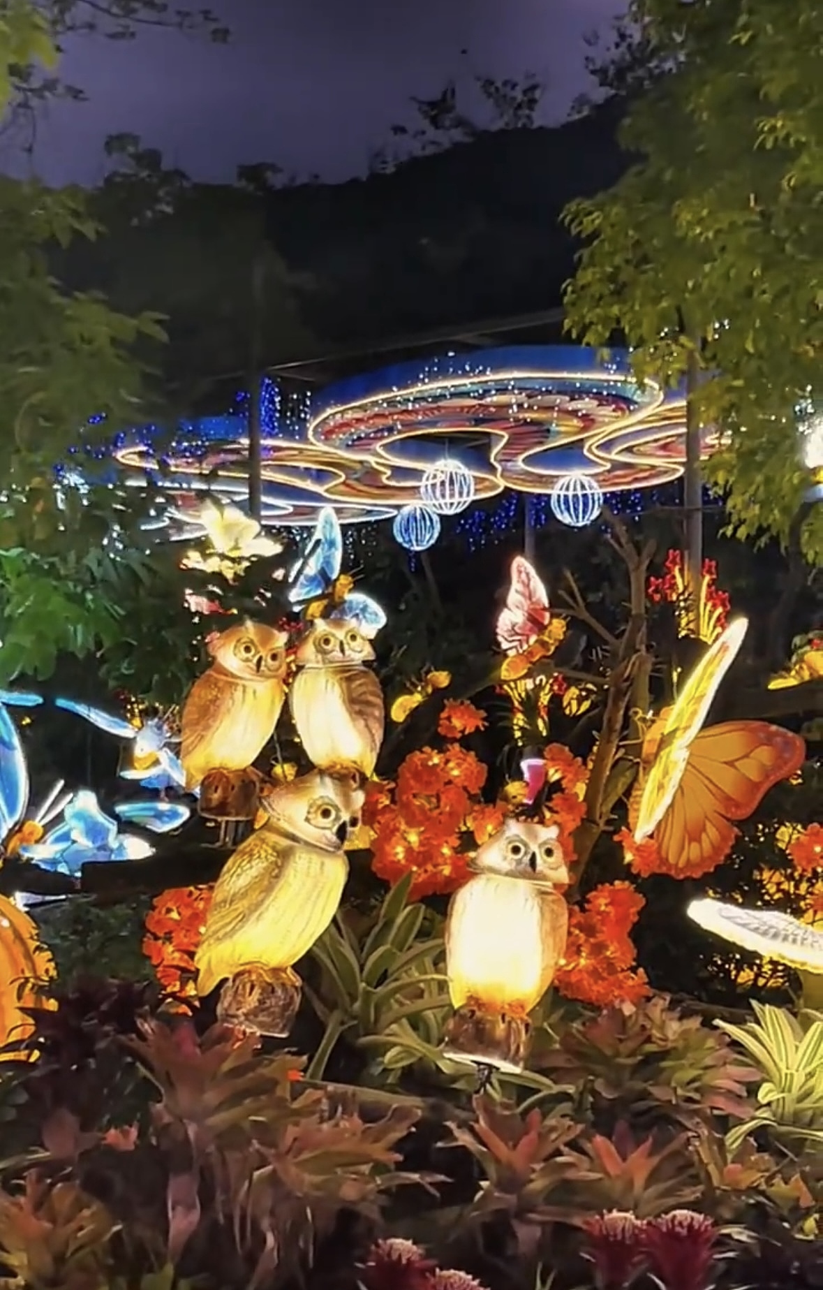 《探秘灯光节,领略光影艺术之美》