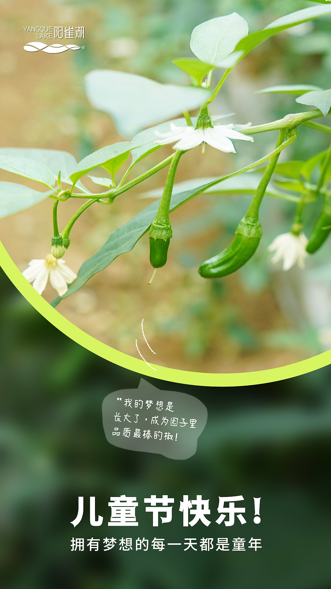 海报长图（图ZMzg2MTg5ODM2） - 其他平面 - 站酷设计师huaxinY原创素材 - 站酷ZCOOL