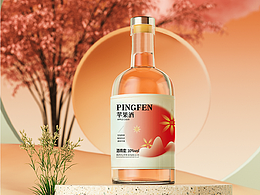 陕西九州果业苹果酒包装设计——青春版苹果果酒