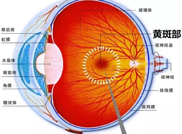 色彩的故事·序章:用色如用兵!—设计史太浓(图ZMTUwMzQ4OTI=) - 教程 - 站酷设计师远麦刘斌原创素材 - 站酷ZCOOL