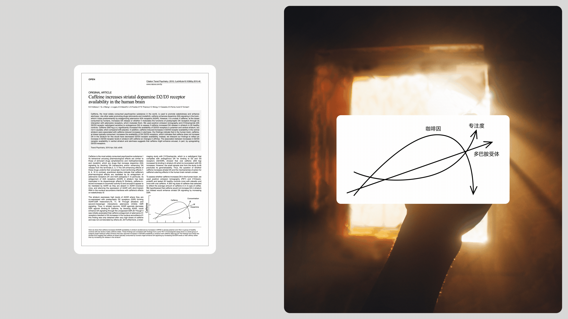 壹例咖啡品牌及包装全案设计