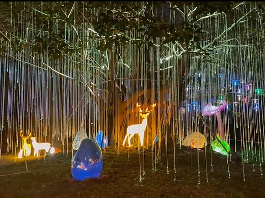 《光的变奏：探秘灯光艺术的多元风格》