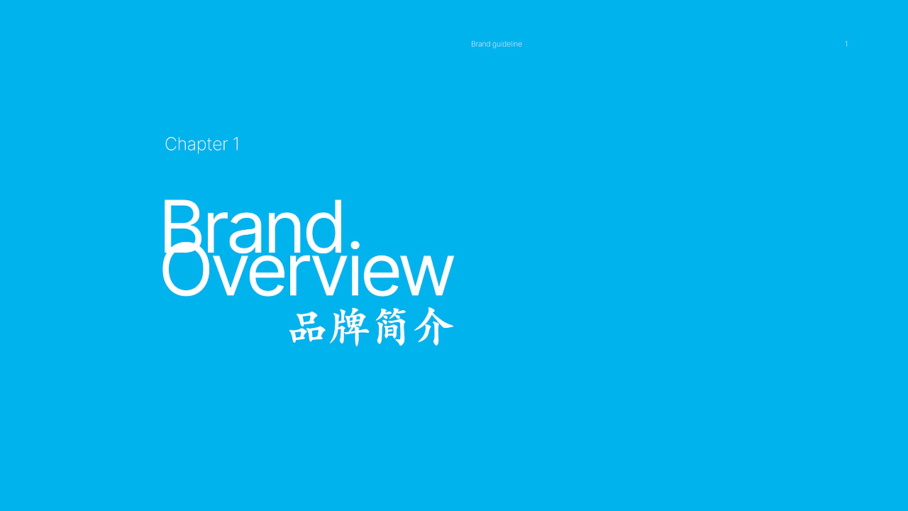天湖纳木措 | 品牌设计|logo设计