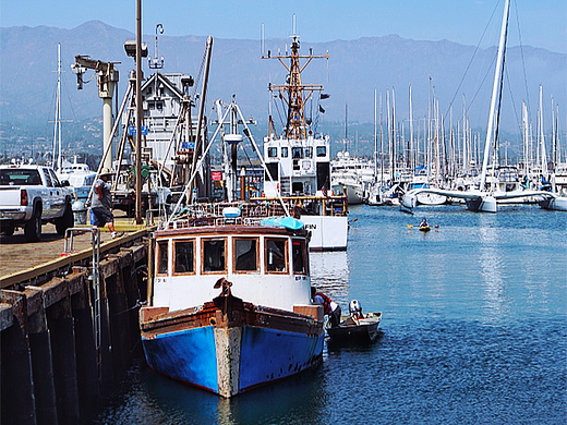 龙胆石斑鱼详情页（个人主页-ZNzE0NjU2ODg=） - 电商 - 站酷设计师Z27627814原创素材 - 站酷ZCOOL