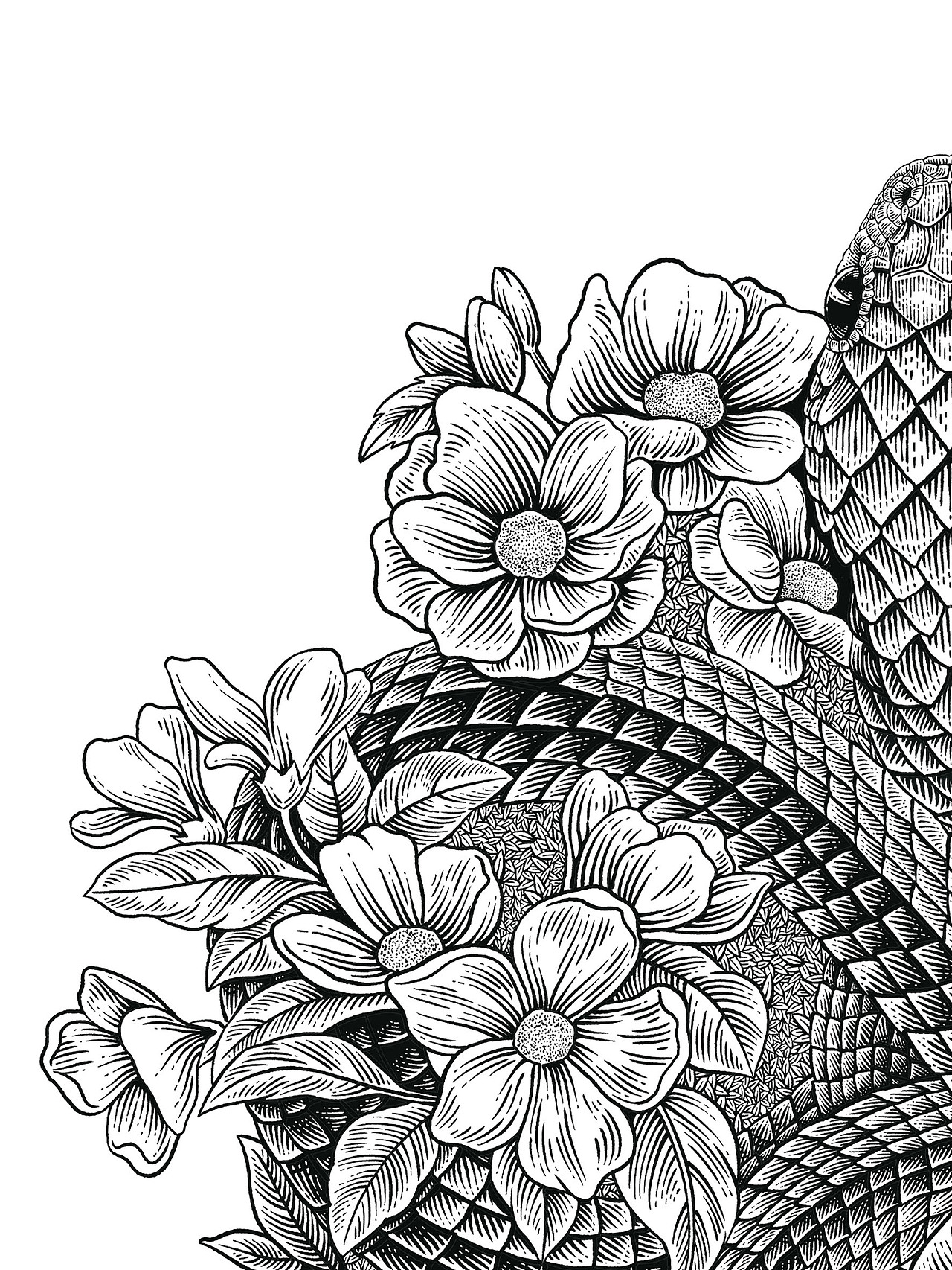 生肖系列(上篇)