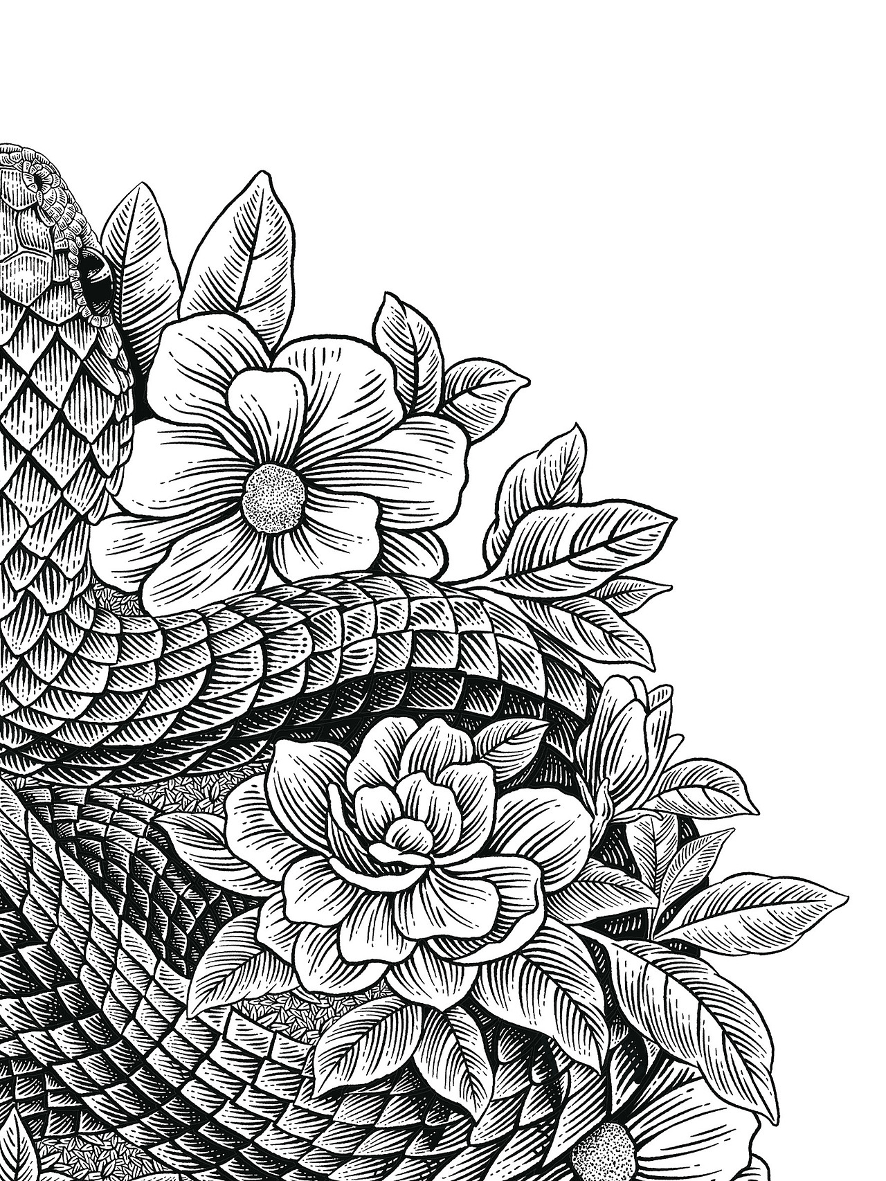 生肖系列(上篇)