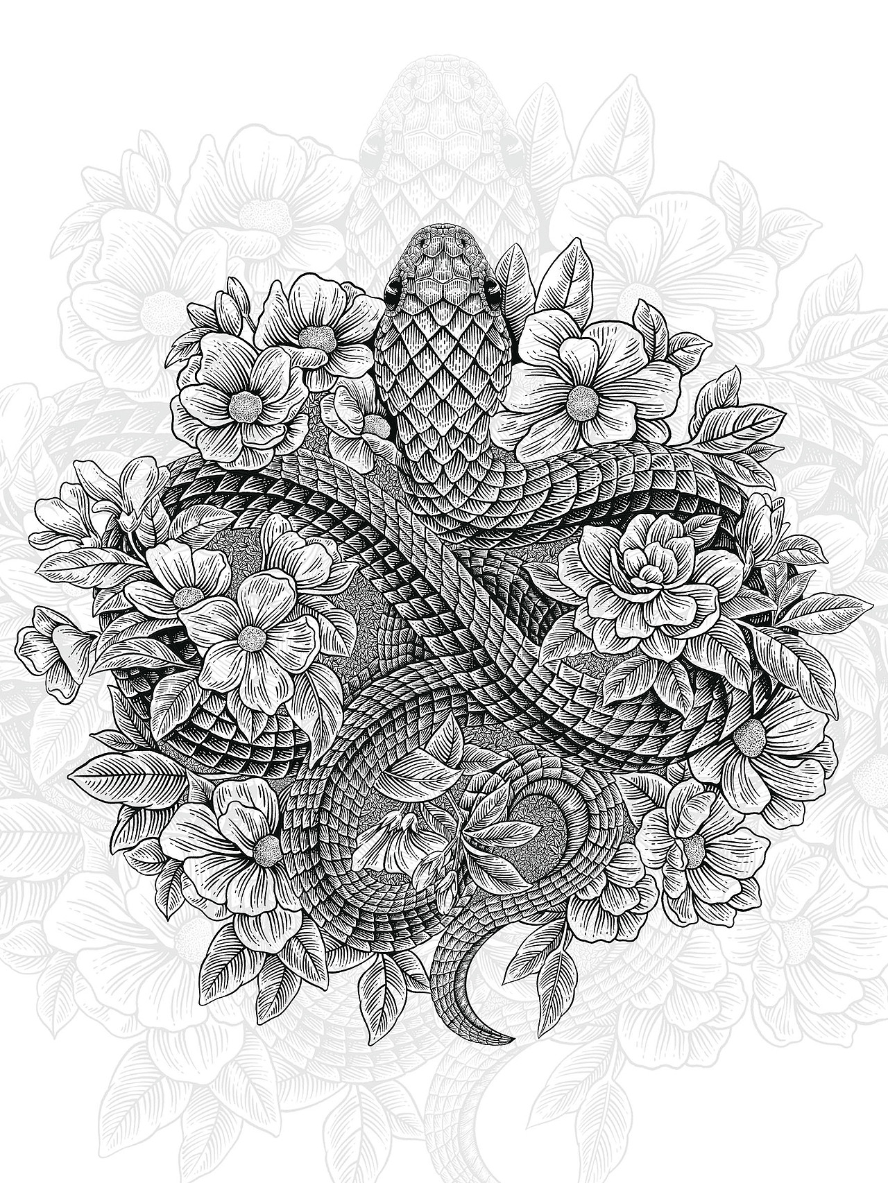 生肖系列(上篇)