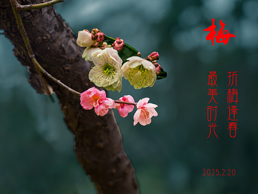 春分丨电商设计背景设定方案，结合品牌调性、场景需求