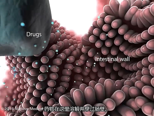 医学动画-药物吸收原理动画视频演绎#医疗动画