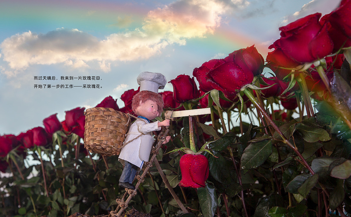 原创手作绘本《小花厨》（图ZMzg2Mzc1MjA0） - 绘本 - 站酷设计师疯狂的邦邦原创素材 - 站酷ZCOOL