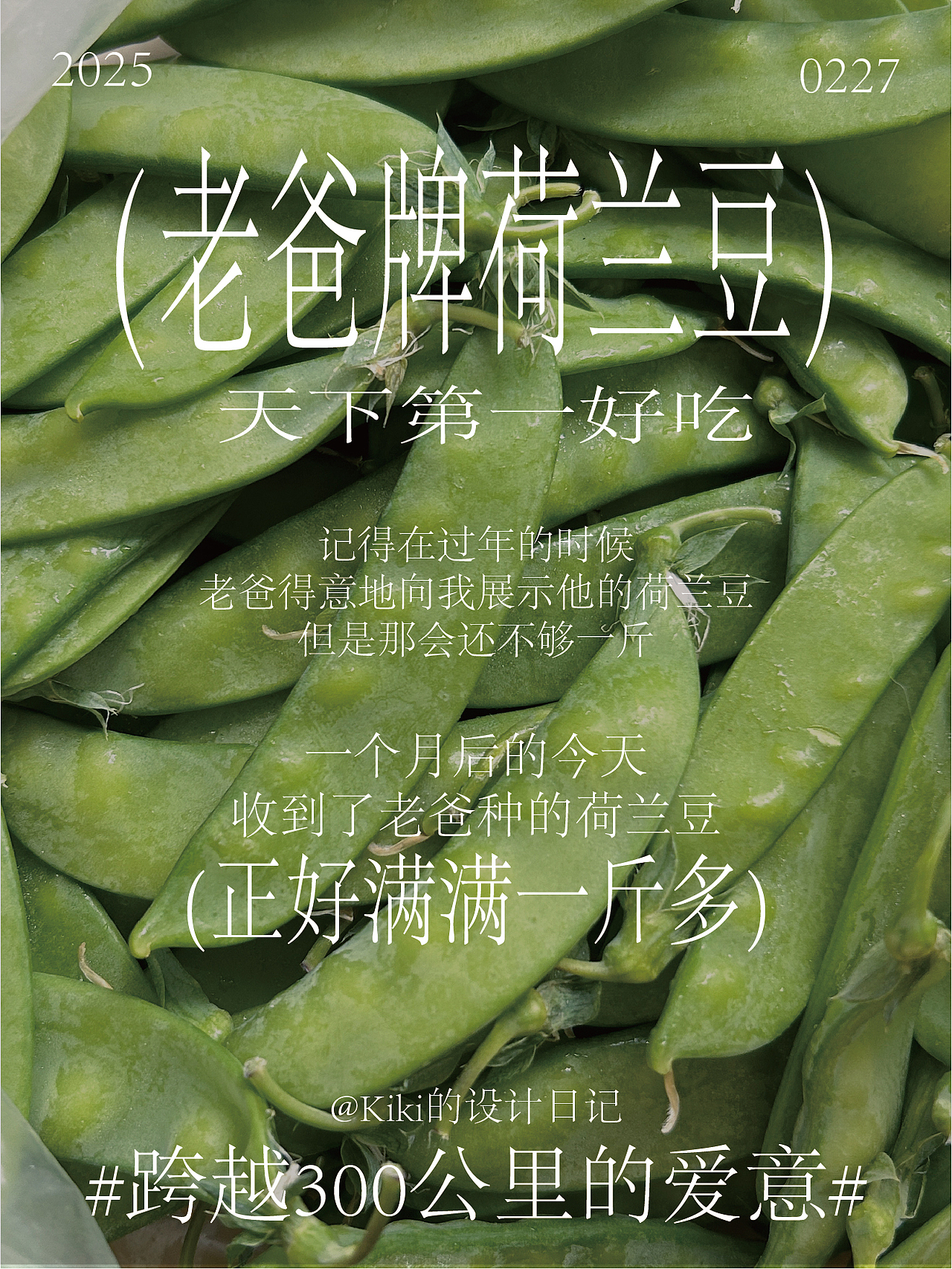 Kiki的设计日记（图ZMzg2Mzc1OTYw） - 海报 - 站酷设计师设计师Kiki原创素材 - 站酷ZCOOL