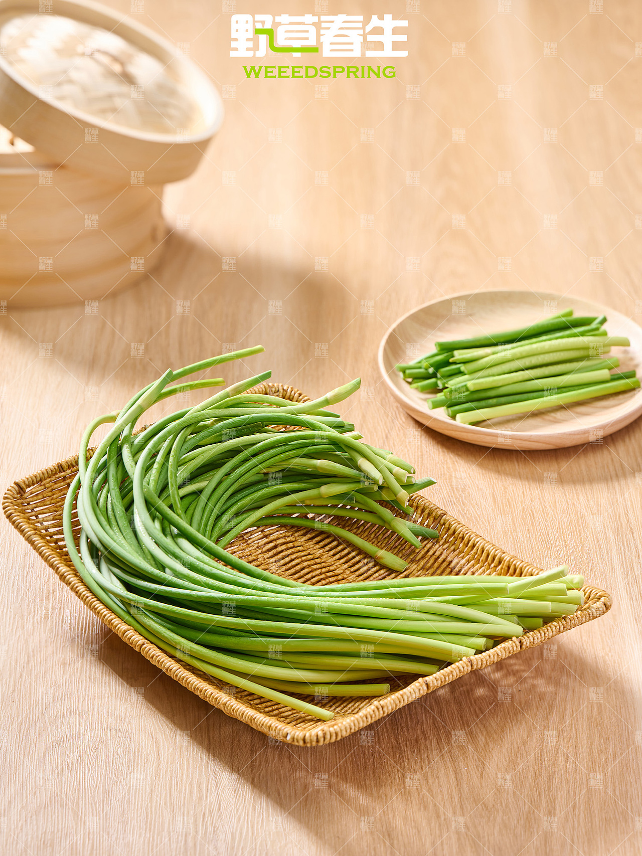 野草春生X蒜苔摄影