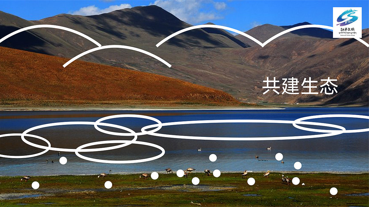 纳木措｜世界屋脊的高原之鸟（图ZMzg2Mzg5MTY4） - Logo - 站酷设计师SONG_AD原创素材 - 站酷ZCOOL