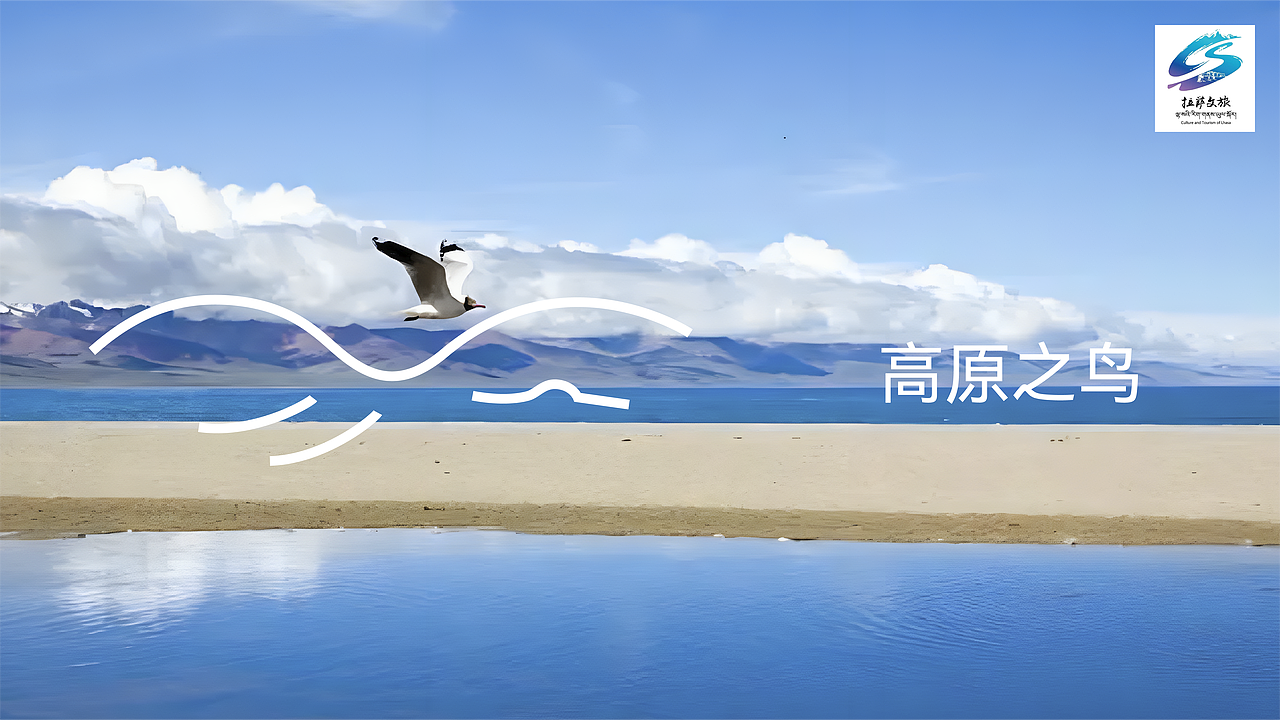 纳木措｜世界屋脊的高原之鸟（图ZMzg2Mzg5MTU2） - Logo - 站酷设计师SONG_AD原创素材 - 站酷ZCOOL