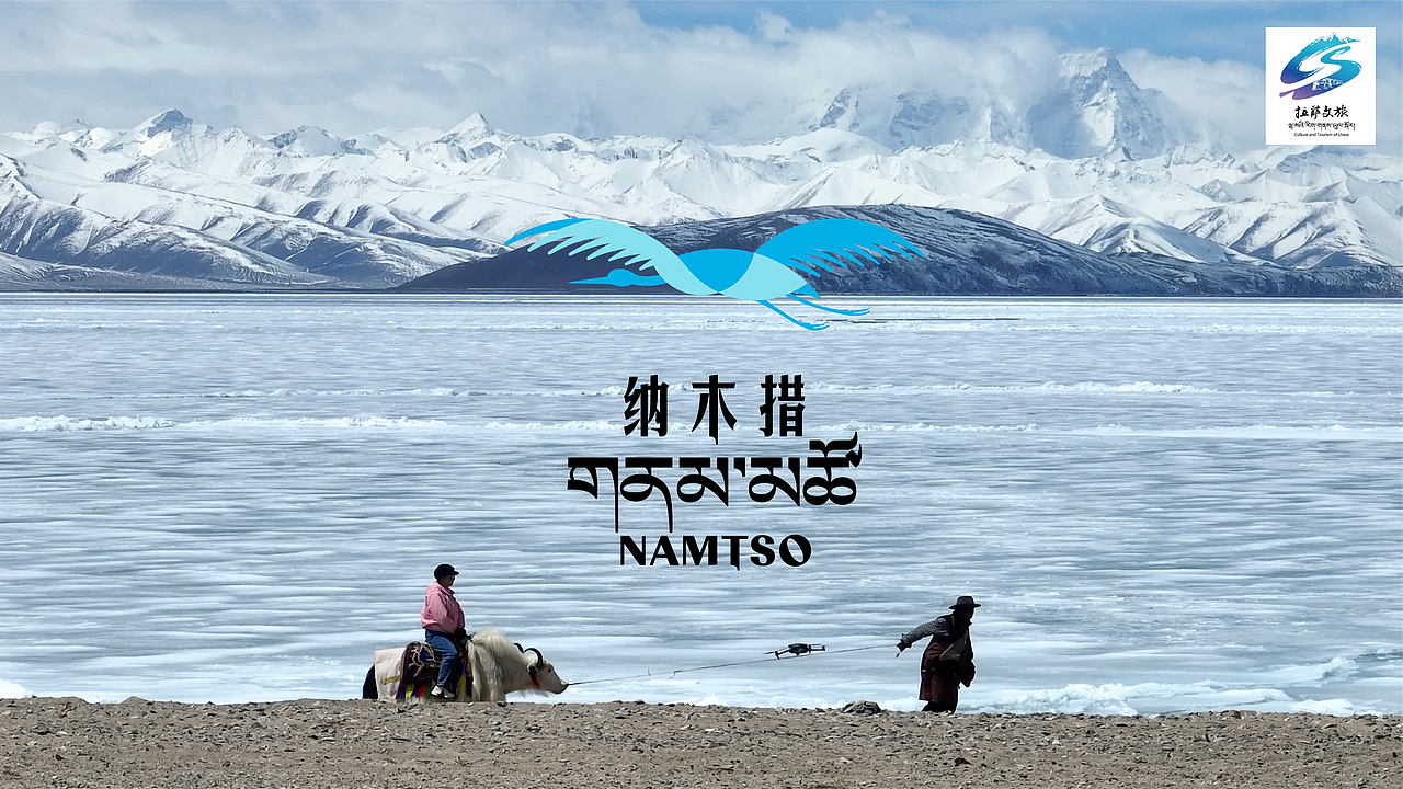 纳木措｜世界屋脊的高原之鸟（图ZMzg2Mzg5MjYw） - Logo - 站酷设计师SONG_AD原创素材 - 站酷ZCOOL