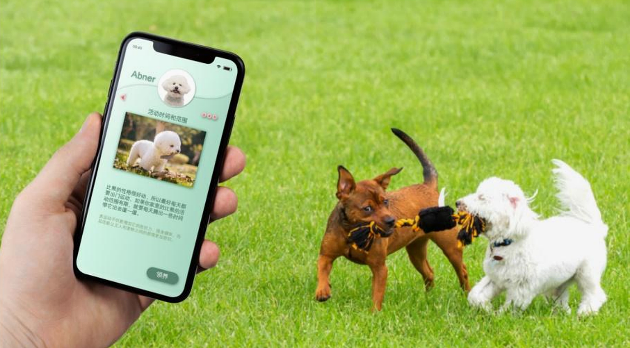 流浪宠物领养 app 界面设计及宠物用品包装设计（图ZMzg2MzkxMjA0） - APP界面 - 站酷设计师阳光牵牛花原创素材 - 站酷ZCOOL