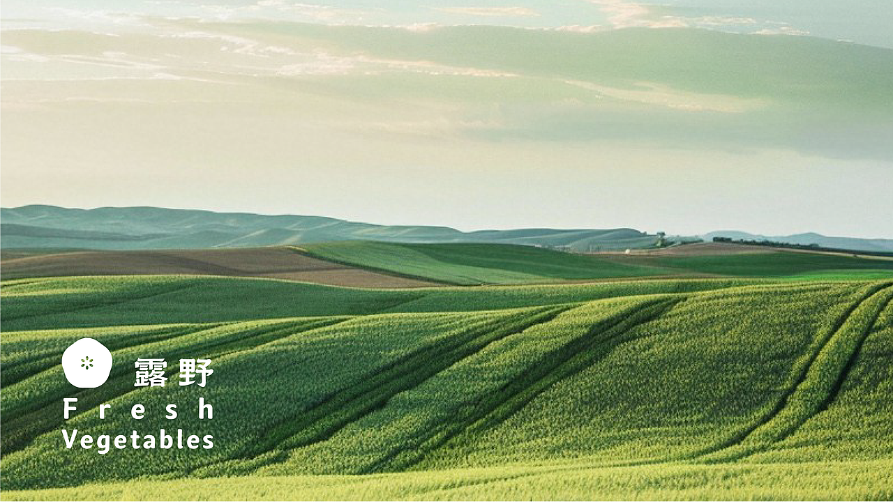 露野—精致健康农产品