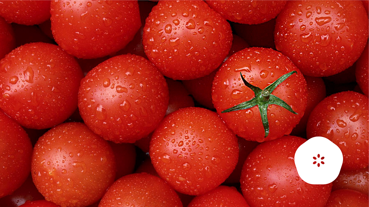 露野—精致健康农产品