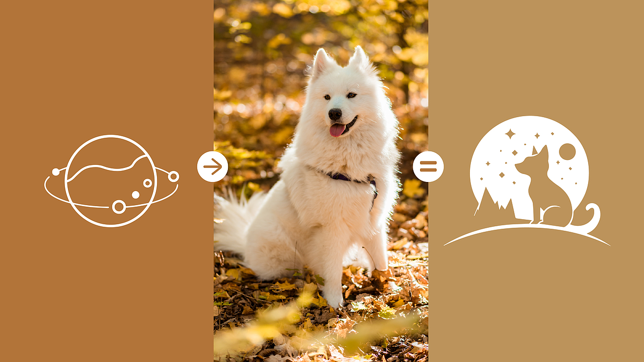 宠物品牌VI提案 | 萌宠星球站Cute pet planet station