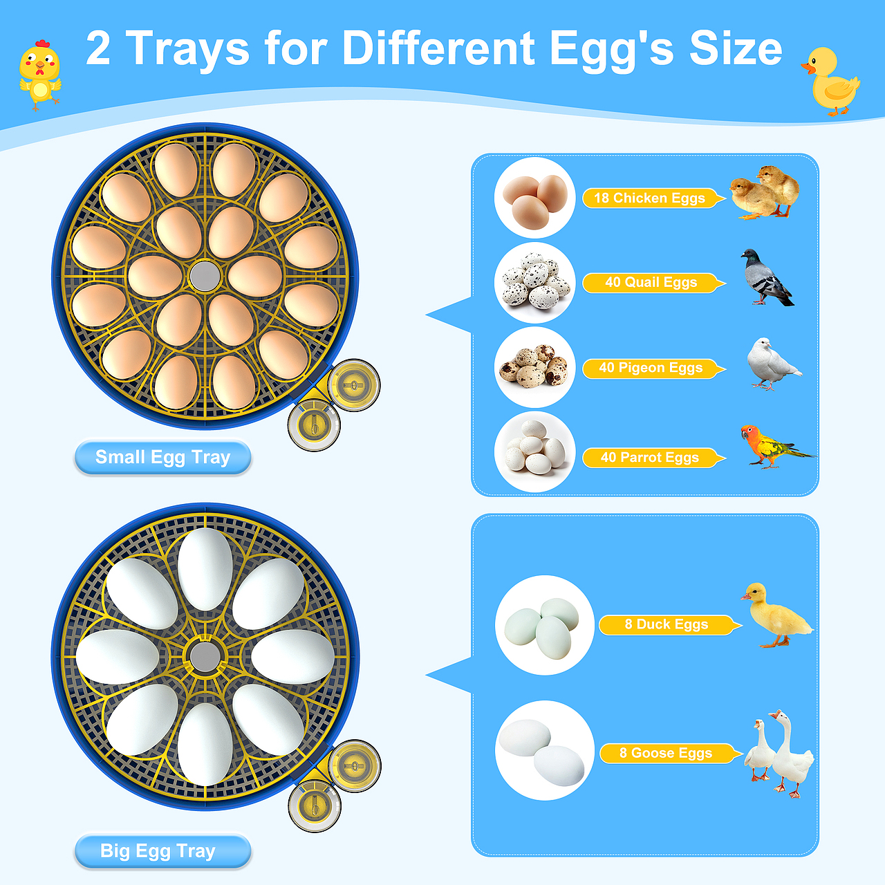 亞馬遜孵蛋器（圖ZMzg2NDI2ODEy） - 電商 - 站酷設(shè)計(jì)師濤濤曳原創(chuàng)素材 - 站酷ZCOOL