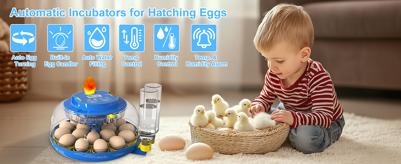 亞馬遜孵蛋器（圖ZMzg2NDI2ODM2） - 電商 - 站酷設(shè)計(jì)師濤濤曳原創(chuàng)素材 - 站酷ZCOOL