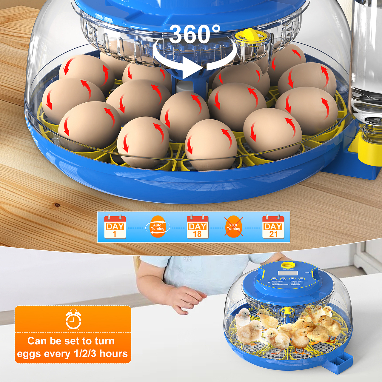 亞馬遜孵蛋器（圖ZMzg2NDI2ODI0） - 電商 - 站酷設(shè)計(jì)師濤濤曳原創(chuàng)素材 - 站酷ZCOOL