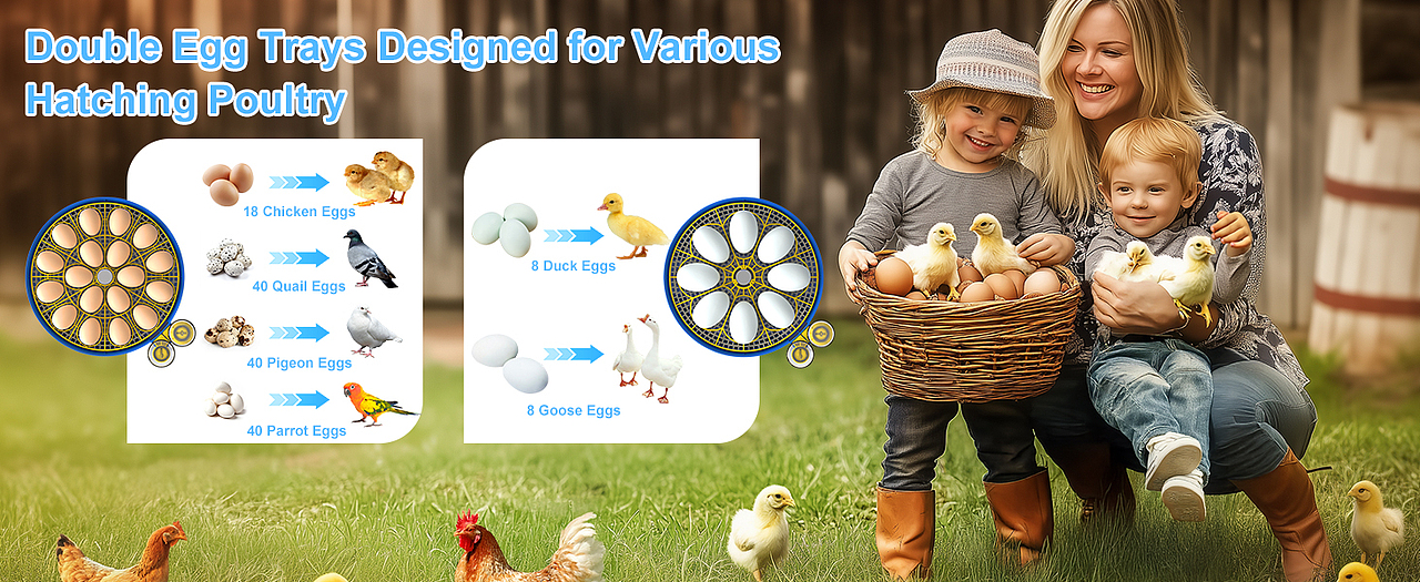 亞馬遜孵蛋器（圖ZMzg2NDI2ODQw） - 電商 - 站酷設(shè)計(jì)師濤濤曳原創(chuàng)素材 - 站酷ZCOOL